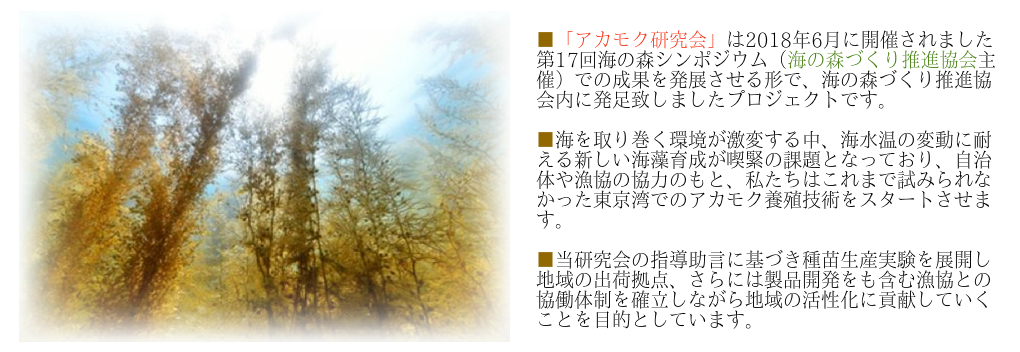 まとめ買いキャンペーン